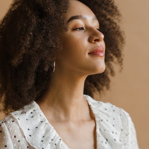 Portrait of a confident woman with afro hair wearing a polka dot blouse, exuding natural beauty and empowerment.